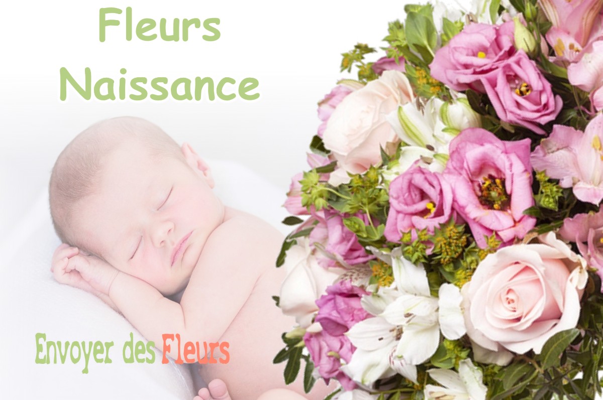 lIVRAISON FLEURS NAISSANCE à LONGECHENAL